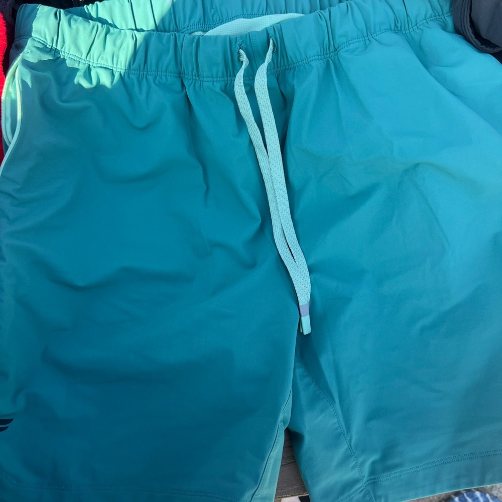 Men’s Fabletics shorts